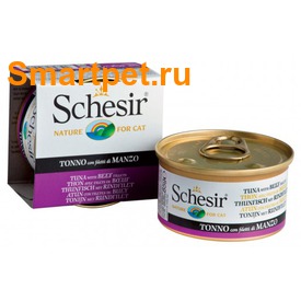 Schesir       