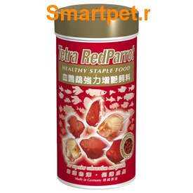 Tetra Red Parrot      