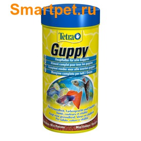 Tetra Guppy       ,   