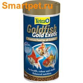 Tetra Goldfish Gold Exotic       
