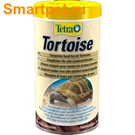 Tetra Tortoise    