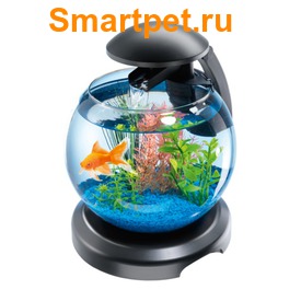 Tetra Cascade Globe    6,8