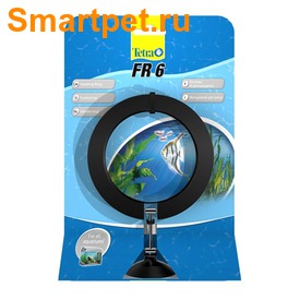 Tetra FR 6 -