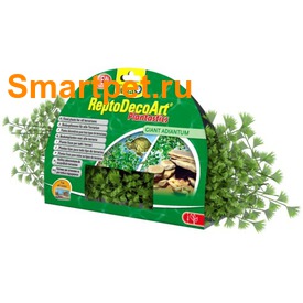 Tetra ReptoDecoArt Plant    