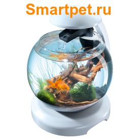 Tetra Cascade Globe    6,8