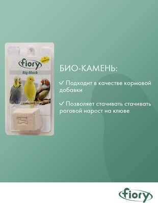 FIORY -   Big-Block   ()