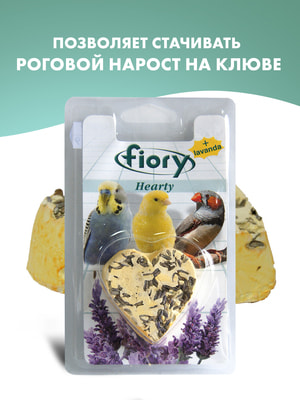 FIORY HEARTY -        ()