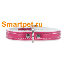 Hunter Smart    Modern Art  -