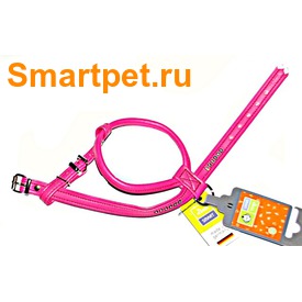 Hunter Smart    Modern Art R&S Luxus  