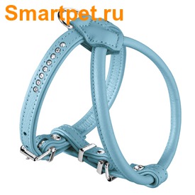 Hunter Smart    Modern Art R&S Luxus  