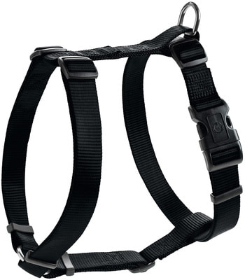 Hunter Smart    Ecco Sport   ()
