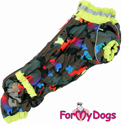 ForMyDogs    /  ()