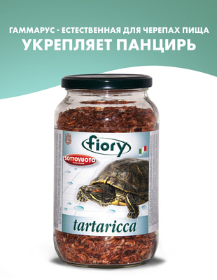 FIORY     Maxi Tartaricca ()
