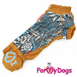 ForMyDogs    ,   