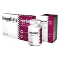 VetExpert  
