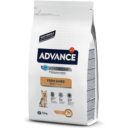 Advance Affinity      Yorkshire Terrier