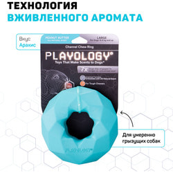 Playology Хрустящее жевательное кольцо-многогранник CHANNEL CHEW RING с ароматом арахиса