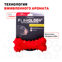 Playology       PUPPY TEETHING BONE   