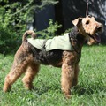 OSSO Fashion Попона охлаждающая для собак