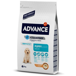   Advance Affinity Baby Protect Maxi      