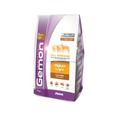 Gemon Dog Light        