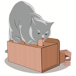 Антицарапки Интерактивная игрушка для кошек КЭТбоксинг