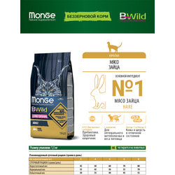   Monge Bwild Cat Hare       