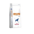 Royal Canin Gastro Intestinal Low Fat LF 22        