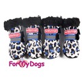 ForMyDogs          