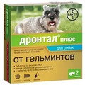 Bayer       