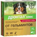 Bayer         