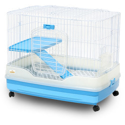 Kredo    ,     , 1-