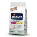 Advance Affinity     7  Sterilized 7 Years (Senior)