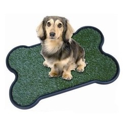 Pet Zoom    Pet Potty Bone Shape   