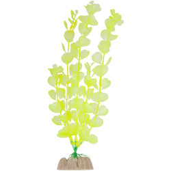 GloFish  L, 