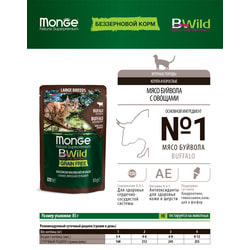 Monge Cat BWild GRAIN FREE          
