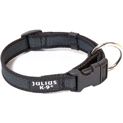 JULIUS-K9    Color & Gray, -