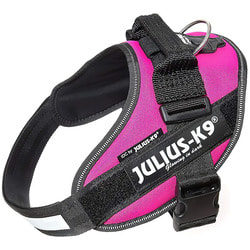 JULIUS-K9 Шлейка для собак IDC®-Powerharness, темно-розовый