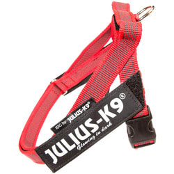 JULIUS-K9 Шлейка для собак Ремни Color & Gray IDC®, красный