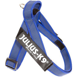 JULIUS-K9 Шлейка для собак Ремни Color & Gray IDC®, синий