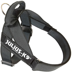 JULIUS-K9 Шлейка для собак Ремни Color & Gray IDC®, черный