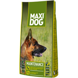   Dog Club Maxi Dog Maintenance