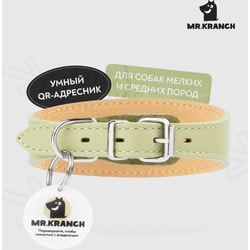 Mr.Kranch -       QR-, -