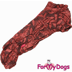 ForMyDogs      