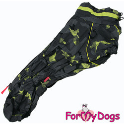 ForMyDogs     /  , 