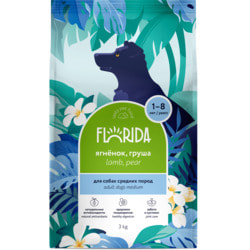   FLORIDA         