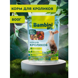 Bambini Pets   