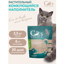  Cat's choice      