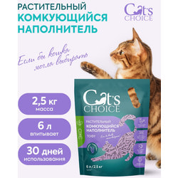  Cat's choice      