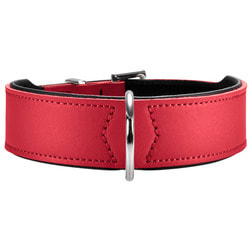Hunter    Basic  /